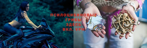 дурь Аркадак