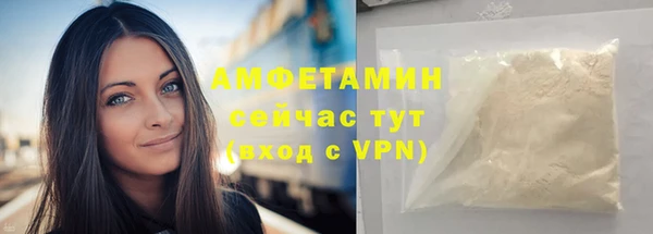 сатива Арсеньев
