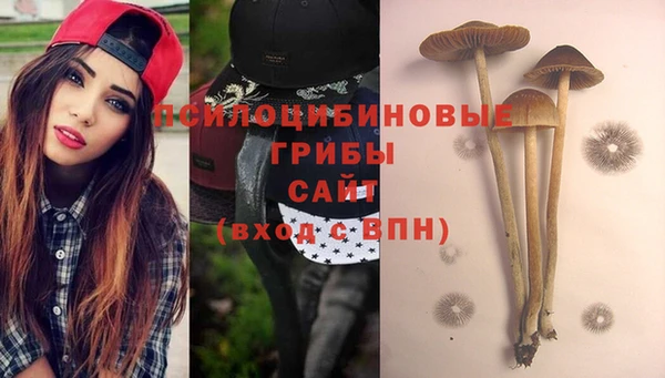 дурь Аркадак