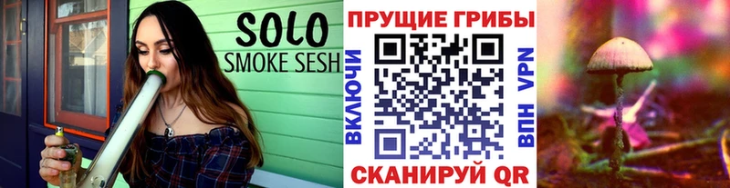 как найти закладки  Протвино  Псилоцибиновые грибы MAGIC MUSHROOMS 