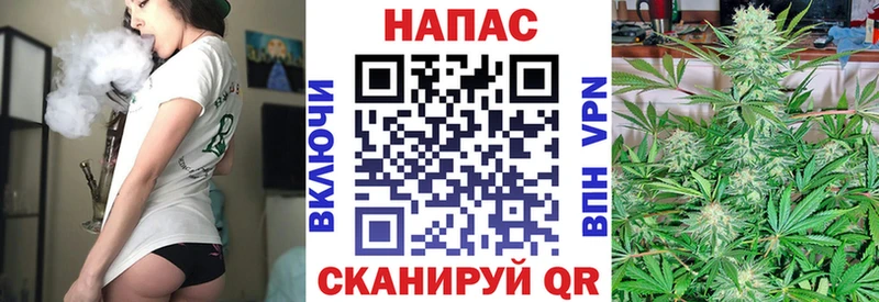 как найти закладки  Протвино  Каннабис индика 